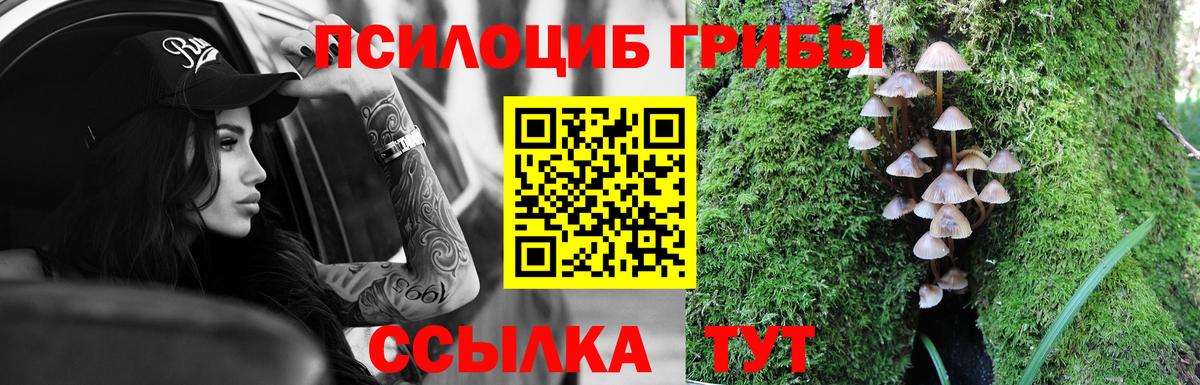 Псилоцибиновые грибы ЛСД Старый Оскол