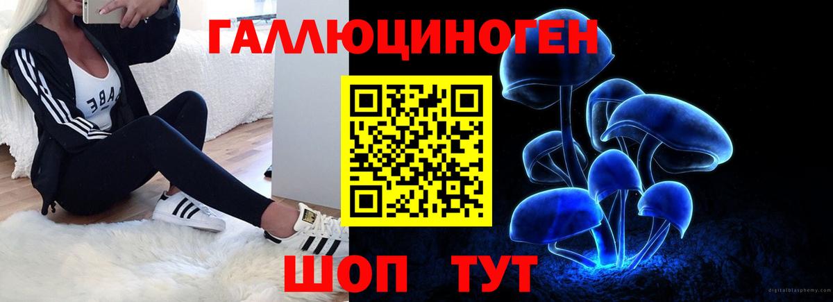 Псилоцибиновые грибы Psilocybe  Вход с VPN  Старый Оскол  цены наркотик  Псилоцибиновые грибы Psilocybine cubensis 